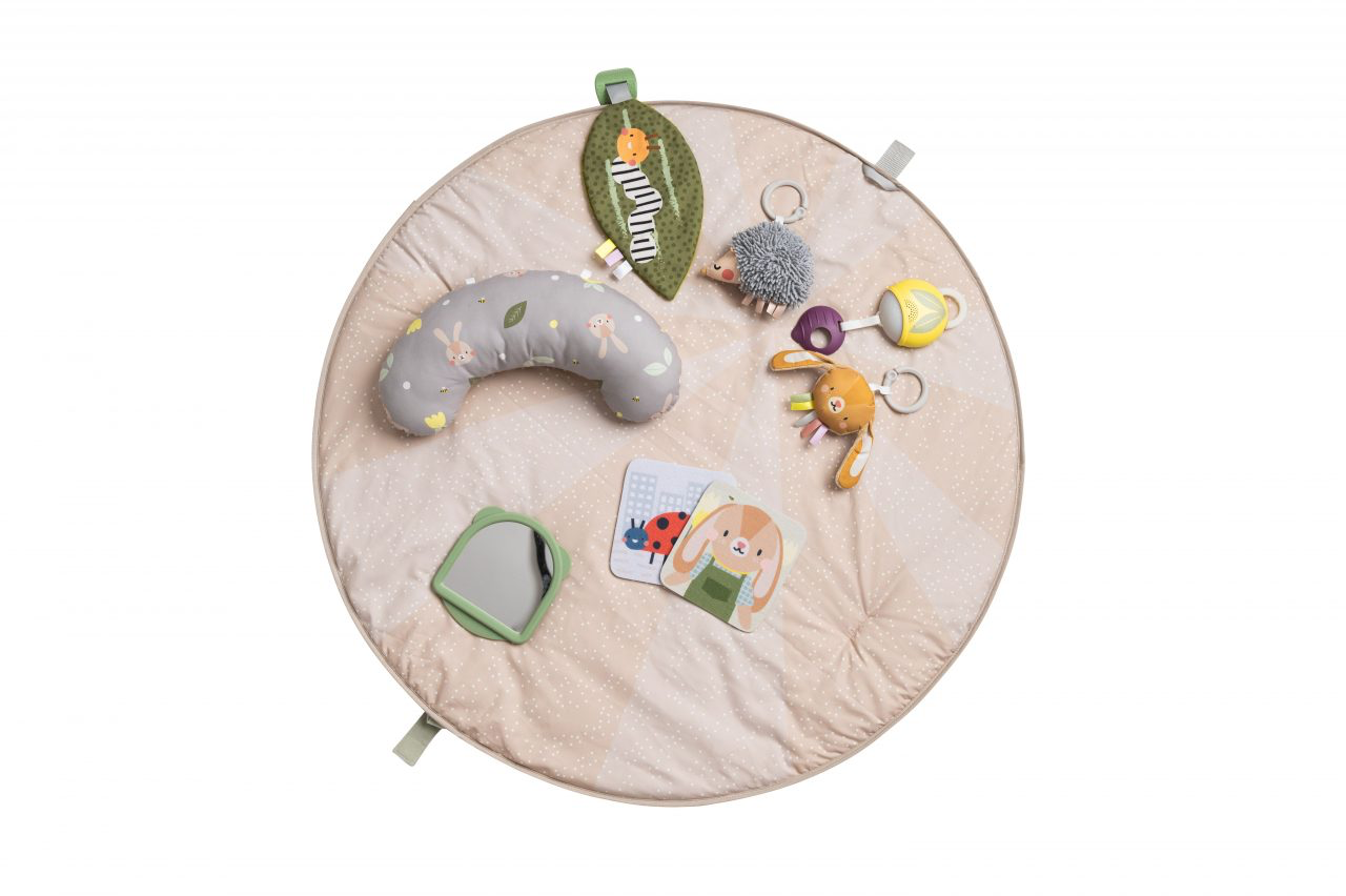 Tummy Time Activity Gym