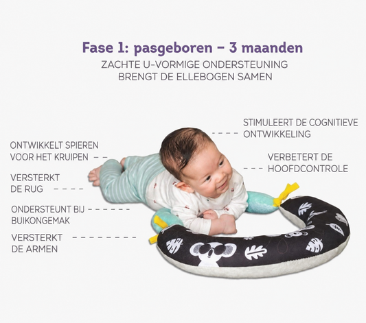 2-in-1 Tummy-Timekussen – Koala