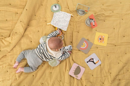 Pre order Newborn Develop & Play Kit