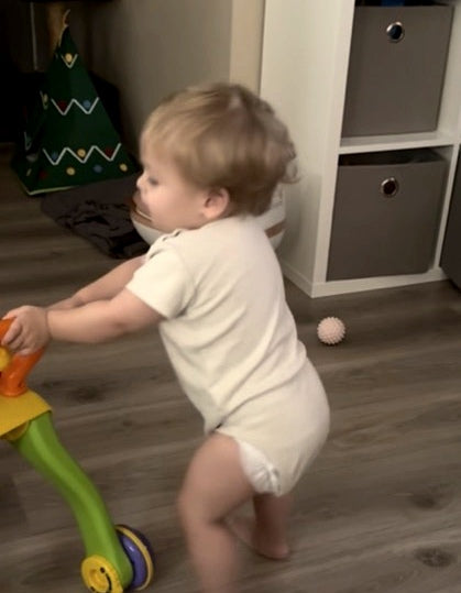 Leer loop wagentje van Vtech A la Noa
