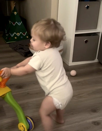 Leer loop wagentje van Vtech A la Noa