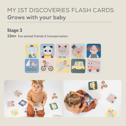 My 1st Discoveries Flash Cards