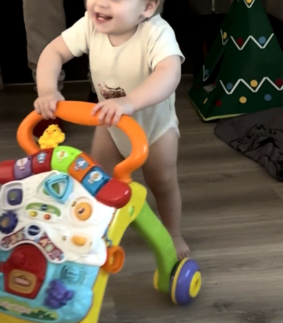 Leer loop wagentje van Vtech A la Noa