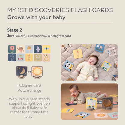 My 1st Discoveries Flash Cards