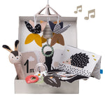 Black & White Newborn Kit