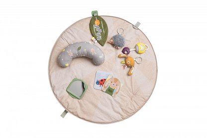 Tummy Time Activity Gym
