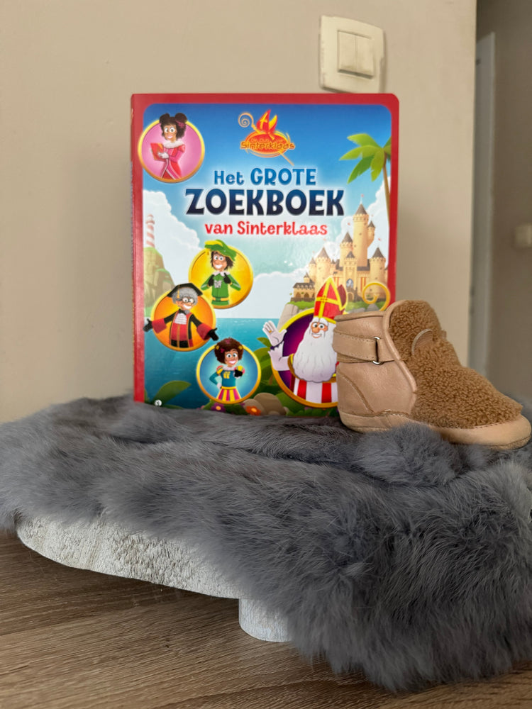 Het grote zoekboek van sinterklaas