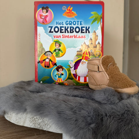 Het grote zoekboek van sinterklaas